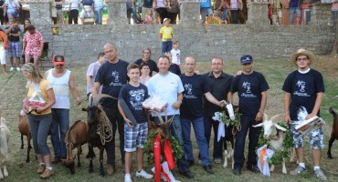 Izbor 'Najkoze Istre'