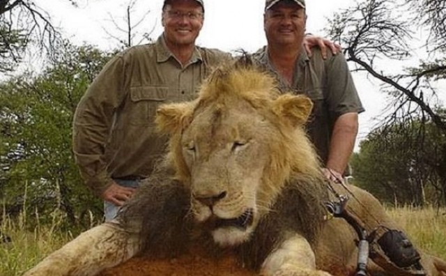 Američke vlasti pokrenule istragu o smrti slavnog lava Cecila