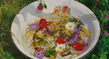 Marin Topić, slika, Marin Topić, cvjetna nedjelja