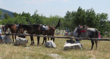 priče iz hercegovine, Dragan Marijanović, hodopisi