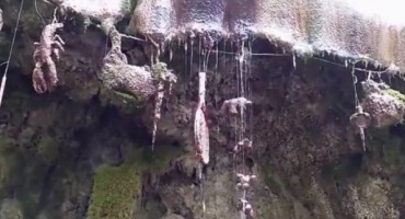 Mistična voda koja sve što dotakne pretvara u kamen