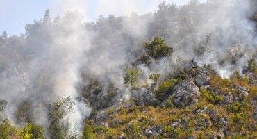 Hum, požar, požari, Ljubuški, požar