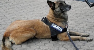 Carinski pas na granici Bugarske i Turske otkrio 20,4 kilograma heroina