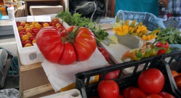 Gigantska rajčica od 1070 grama