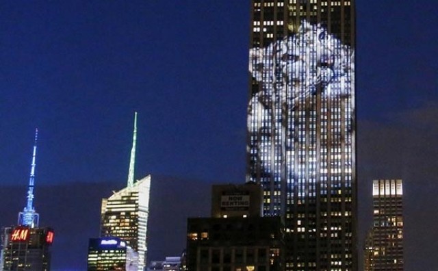 U čast Cecilu: Empire State Building za ugrožene životinje