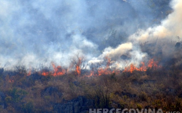 Hum, požar, požari, požar, požari