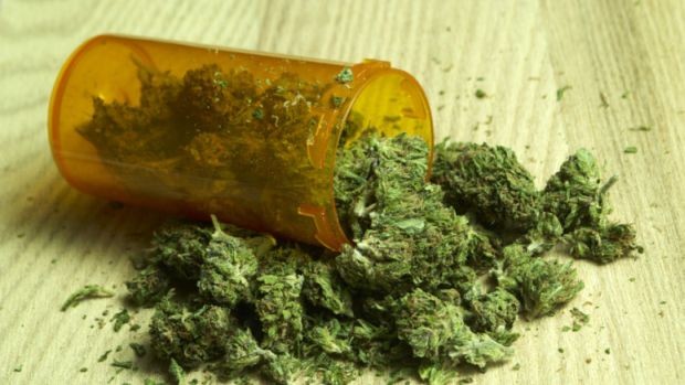 Rak moje supruge je nestao nakon uzimanja ulja od ‘indica’ marihuane