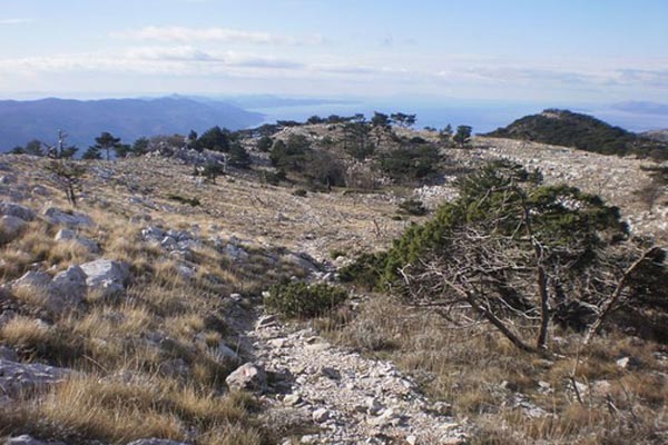 brdo sveti ilija