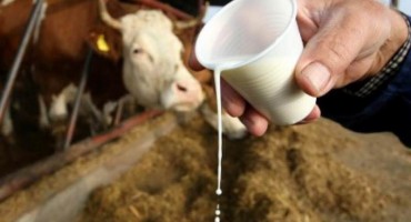 Matija Šerić: Mlijeko posvađalo Hrvatsku i BIH