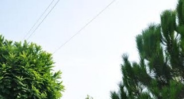 Bijelo Polje: Ovaj vikend Likovna kolonija Davor Sesar