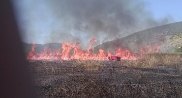 Mnogobrojni požari na području Livna. Gore Kruzi, Borova glava, Golija
