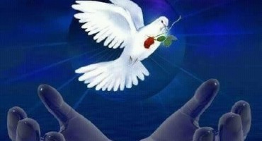 Katarina Zovko Ištuk