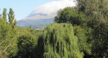 bunica
