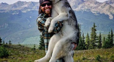 Ovo je najkulerskiji pas na svijetu!