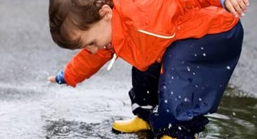 patlidžan, blagodati