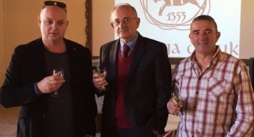 Božo Ljubić, švicarska, posjeta, HNS BiH