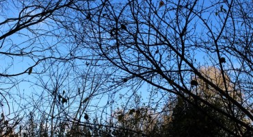 Vakula: Očekuje nas iznadprosječno topla zima! 