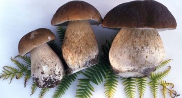 Poslastica obiteljske trpeze: Varganj