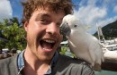 selfie, životinje,  australski avanturist