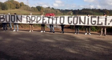 Navijači Rome donijeli 50 kilograma mrkve Džeki i društvu: Uživajte u jelu, zečevi!