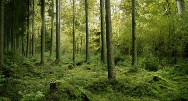 Muškarac iz Livna smrtno stradao na Vran planini