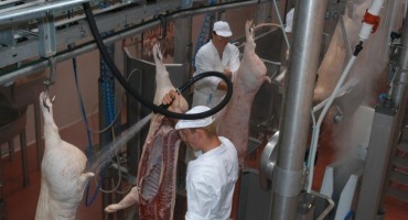 Građani BiH jedu klaonički otpad