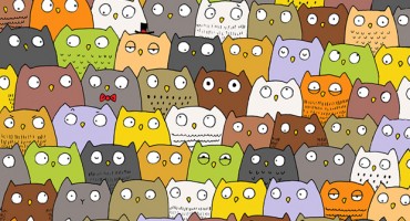 Testirajte svoju moć zapažanja i pronađite macu u mnoštvu sovi