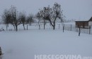 snijeg, Slavonija