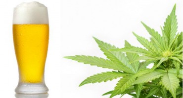 Je li istina da ljudi koji puše ‘travu’ manje konzumiraju alkoholna pića?