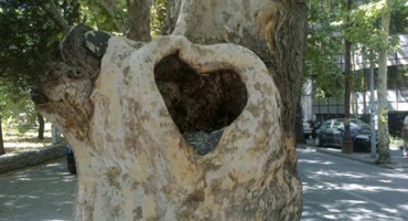 Katarina Zovko Ištuk