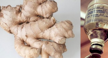 Gomoljasta biljka: Moćni đumbir jači od kemoterapije