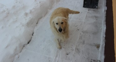 Sniježne dječije radosti u Slavoniji