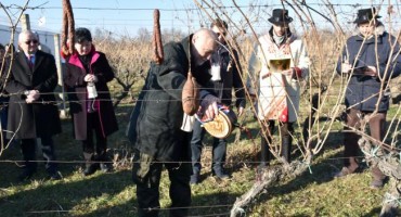  Diljem Slavonije i Baranje proslavljen je jučer blagdan sv. Vinka