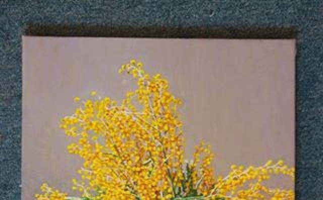 Marin Topić, mimoze