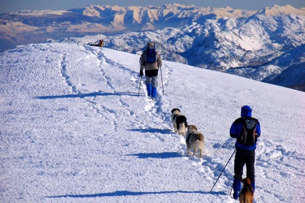 vran planina