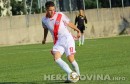 Krtalić