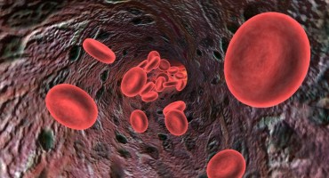 Revolucionarno otkriće: T-limfociti će sami napadati i ubijati stanice raka