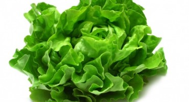zelena salata, jesti kelj, istraživanje