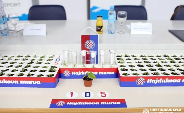Na splitskom Sveučilištu promovirana 'Hajdukova murva'