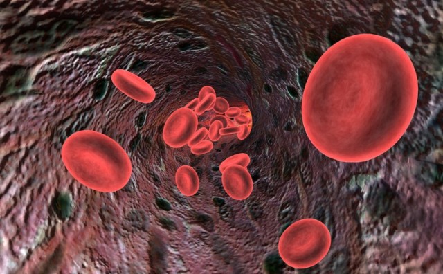Revolucionarno otkriće: T-limfociti će sami napadati i ubijati stanice raka
