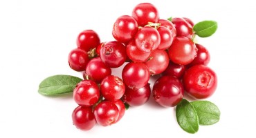 Goji bobice, zdravlje