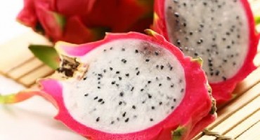 pitaya, ljekovito bilje, zmajevo voće