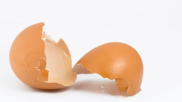 6 upotreba ljuske od jaja kojih se nikada ne biste dosjetili