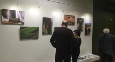 BIH, Hercegovina, češka, Izložba