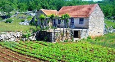 Katarina Zovko Ištuk