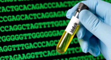 Ostvarena pohrana digitalnih fotografija u DNK