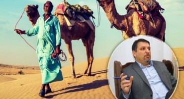 Gradonačelnik kupuje tri jednogrbe deve za 12.000 eura