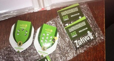 Mostar: Otkrivene sjemenke marihuane u poštanskoj pošiljci iz Njemačke