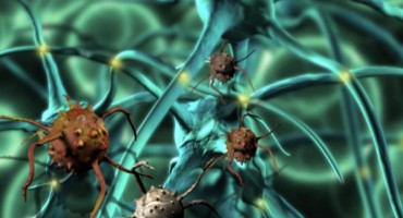 Lijek protiv raka je u nama samo ga trebamo potaknuti