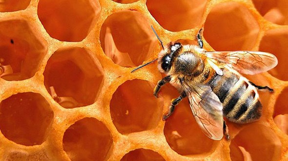 inovator, nagrada, sajam